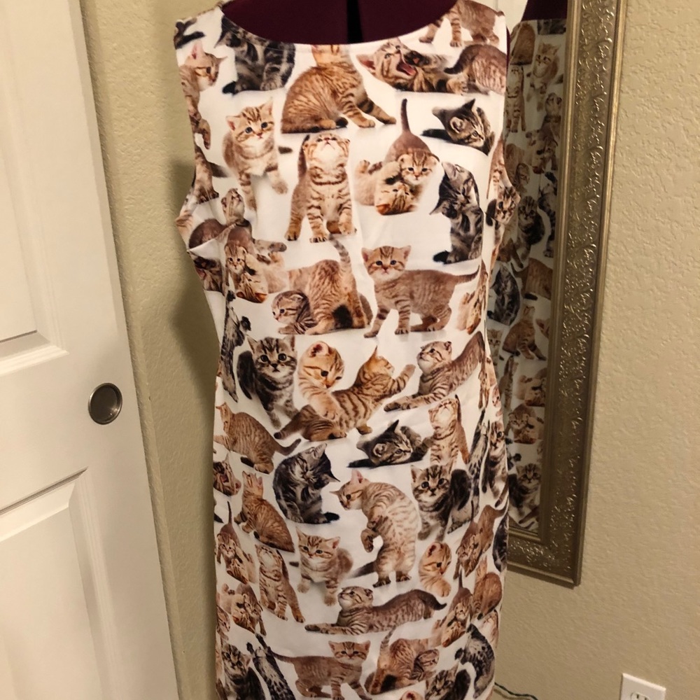 Cat dress!